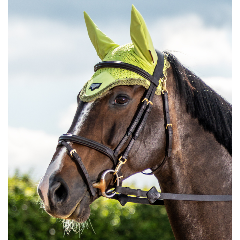 LeMieux Loire Fly Hood - Kiwi-1